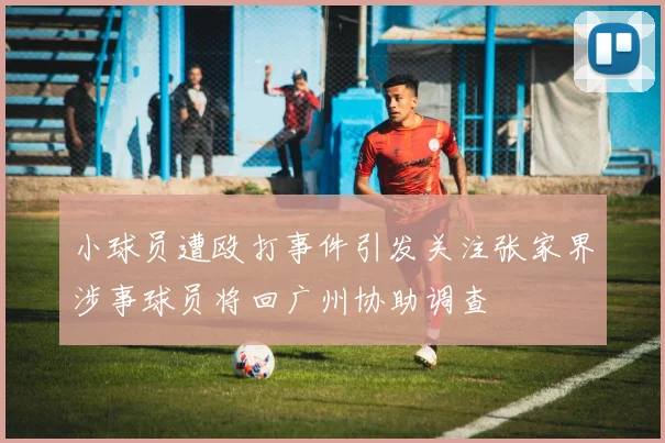 小球员遭殴打事件引发关注张家界涉事球员将回广州协助调查