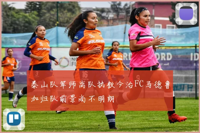 泰山队军师离队执教今治FC马德鲁加归队前景尚不明朗